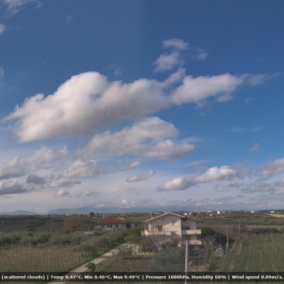 26